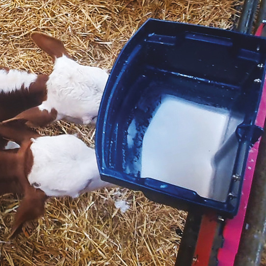 CALF-BUDDY™ #2 emmer met 2 nippels